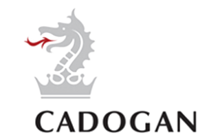 codogan logo