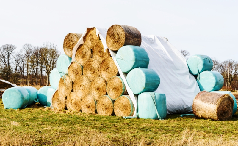 Spent PVC building wrap over bales of straw